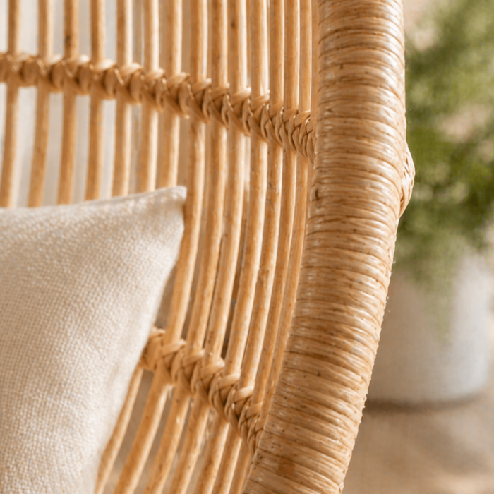 Serena and Lily Hanging Rattan Chair Review
