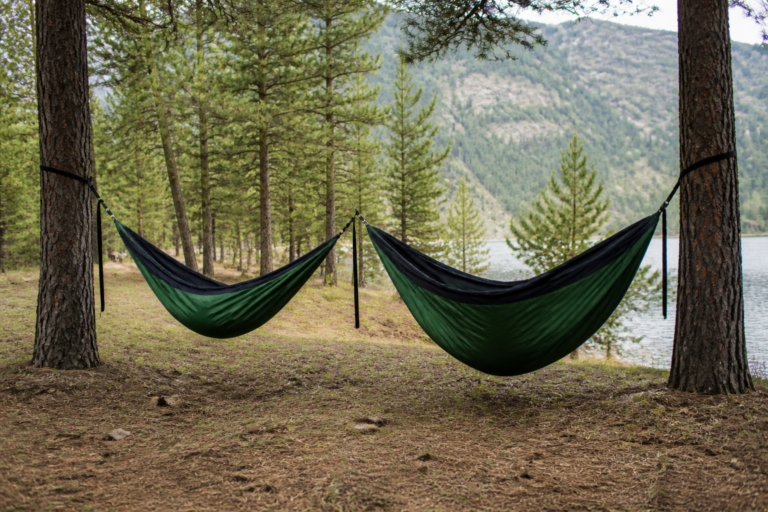 Wise Owl Hammock Review