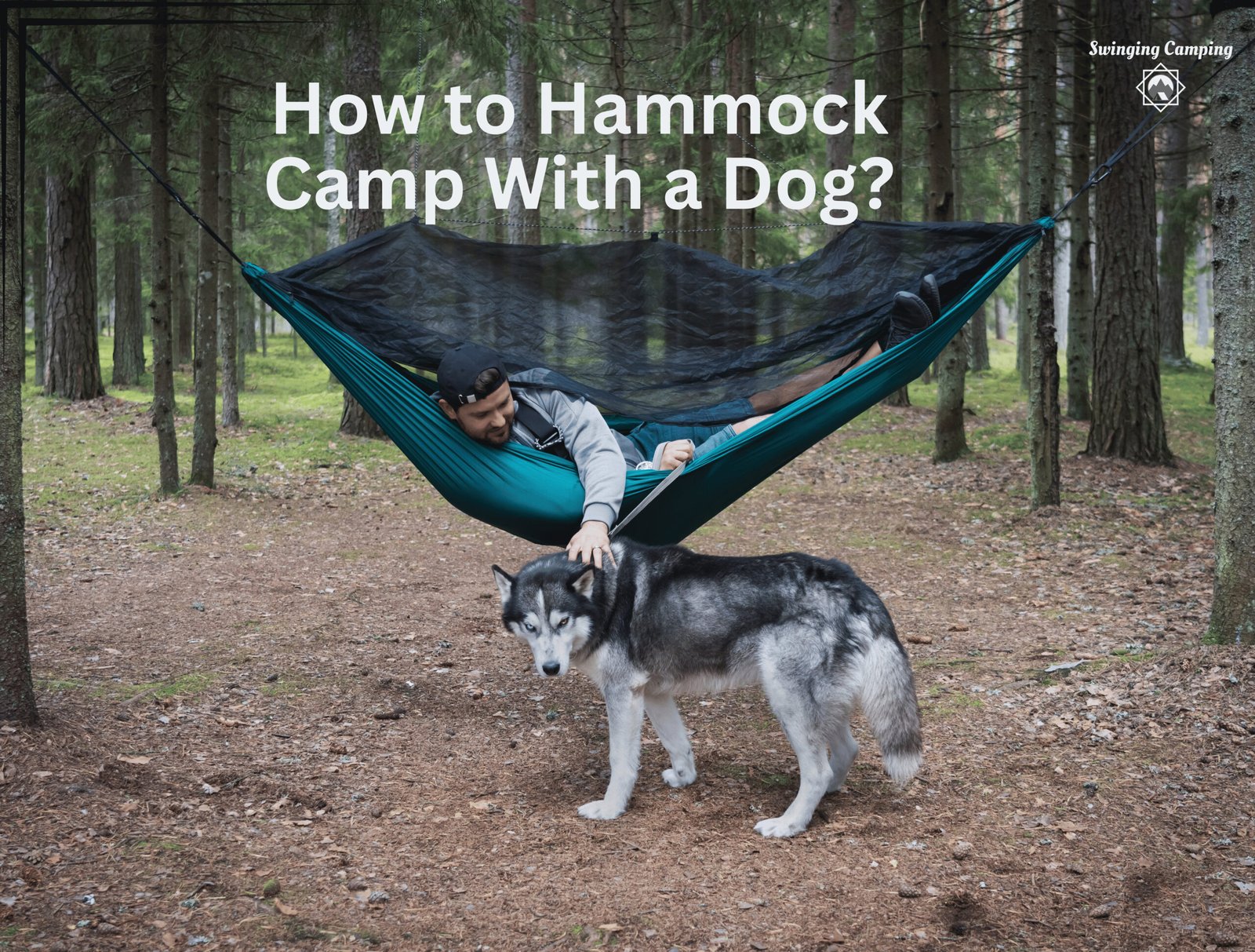 How to Hammock Camp With a Dog?